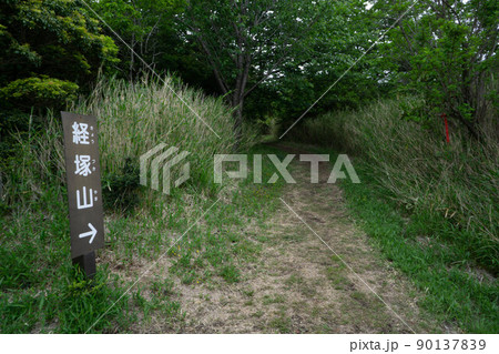 速見郡(日出町) 経塚山 ミヤマキリシマ 速見郡(日出町) 経塚山 ミヤマキリシマ 90137839