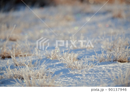 きらめく凍った地面(茶臼山 愛知県 豊根村) きらめく凍った地面(茶臼山 愛知県 豊根村) 90137946