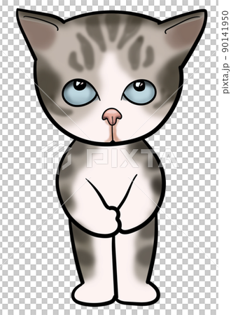 貓，我很抱歉神秘，道歉 90141950