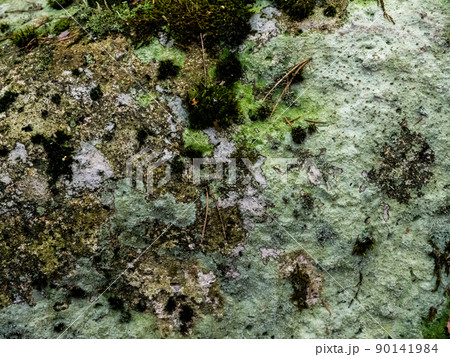 Beautiful colorful texture of natural stone.  90141984