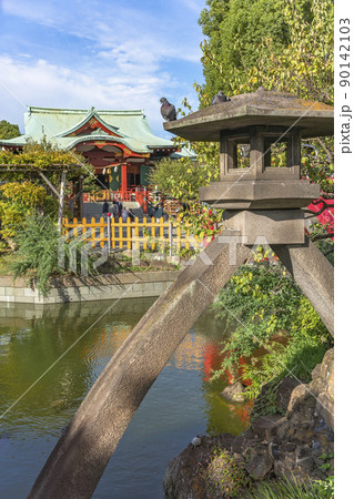 [東京・亀戸] 亀戸天神社の池を見下ろす雪見燈籠と休み中の鳩と亀。 90142103