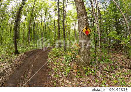 A stop sign Posted on Tree on ATV and dirtbike Multi-Use or Multipurpose Trail in Simcoe County 90142333
