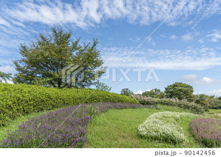 馬見丘陵公園 90142456
