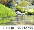 清流と岩の苔 90142755