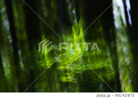 もみじの若葉をブラして写す 90142973