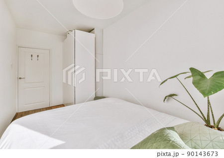 Comfortable bed near the plant and wardrobe placed in small narrow bedroom with white walls and green pillows in modern apartment 90143673