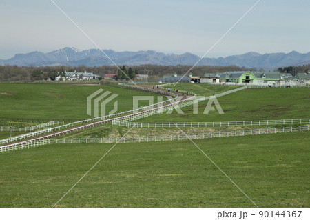 早春の牧場 90144367