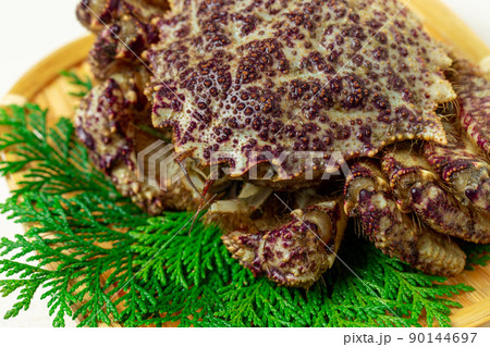 新鮮なクリガニ 新鮮なクリガニ 90144697