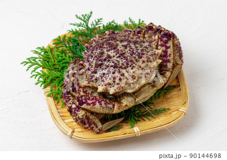 新鮮なクリガニ 90144698