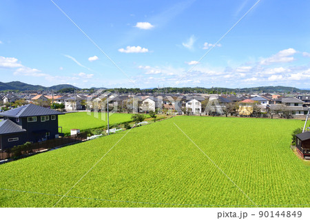 2021年。児島駅から岡山駅までの瀬戸大橋線の風景 2021年。児島駅から岡山駅までの瀬戸大橋線の風景 90144849