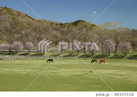 早春の牧場 早春の牧場 90145558