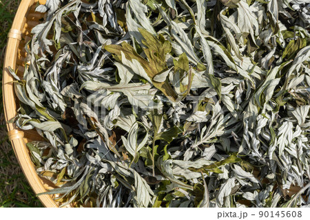 乾燥したヨモギの葉 90145608