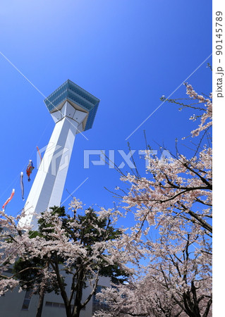 五稜郭タワーと五稜郭公園の桜 五稜郭タワーと五稜郭公園の桜 90145789