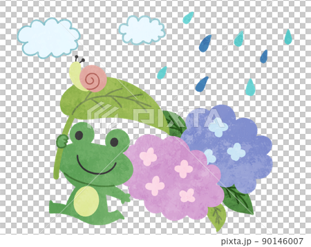 Illustration material of hydrangea and frog on rainy season Illustration material of hydrangea and frog on rainy season 90146007