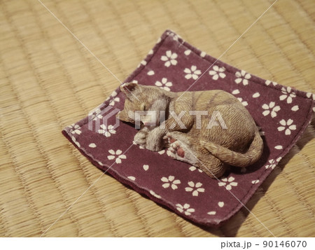 畳と眠る猫ちゃん 畳と眠る猫ちゃん 90146070