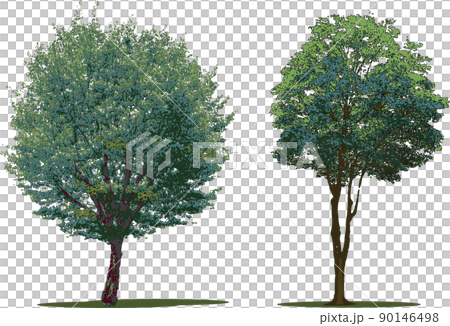 Tree tree set Tree tree set 90146498