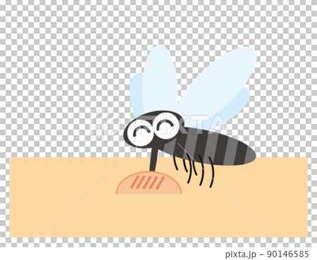 腕を刺す蚊 やぶ蚊 腕を刺す蚊 やぶ蚊 90146585