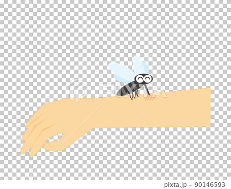 Mosquitoes that sting their arms Yabu mosquitoes Mosquitoes that sting their arms Yabu mosquitoes 90146593