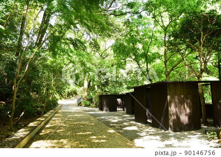 湯河原町 万葉公園湯河原惣湯周遊路と惣湯テラスと新緑 湯河原町 万葉公園湯河原惣湯周遊路と惣湯テラスと新緑 90146756
