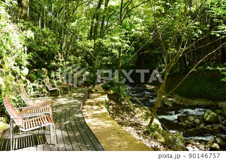 湯河原町　万葉公園湯河原惣湯川の道とテラス席と新緑 90146757