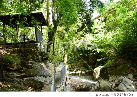 湯河原町　万葉公園湯河原惣湯川の道とテラス席と新緑 90146758