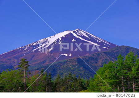 20220526林道富士線から新緑の富士山 20220526林道富士線から新緑の富士山 90147023