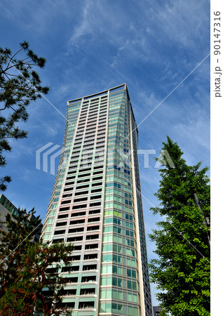 渋谷区役所とその周辺の風景 90147316