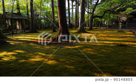 京都大原三千院 京都大原三千院 90148803