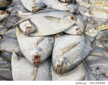 Fresh Pomfret fish in the market for sale 90148986