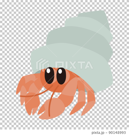 寄居蟹圖 寄居蟹圖 90148993