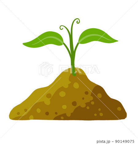 Sprout of plant in ground. Green leaves of young seedlings in soil. Sprout of plant in ground. Green leaves of young seedlings in soil. 90149075