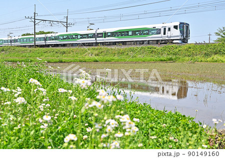 鉄道　JR東日本：宇都宮線内　特急あしかが大藤まつり3号　E257系5500番台 90149160