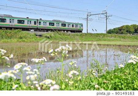 鉄道　JR東日本：宇都宮線　E231系　K-14F(横コツ)　 90149163