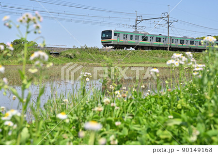鉄道　JR東日本：宇都宮線　E231系　U519F(宮ヤマ) 90149168