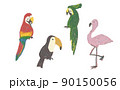 手描き　南国の鳥たち　セット 90150056