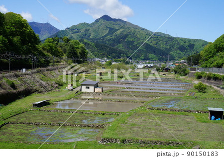 鶴ヶ鳥屋山と大月市初狩の田園風景【山梨県大月市初狩】 90150183
