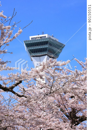 五稜郭タワーと五稜郭公園の桜 五稜郭タワーと五稜郭公園の桜 90150551