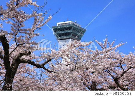 五稜郭タワーと五稜郭公園の桜 五稜郭タワーと五稜郭公園の桜 90150553
