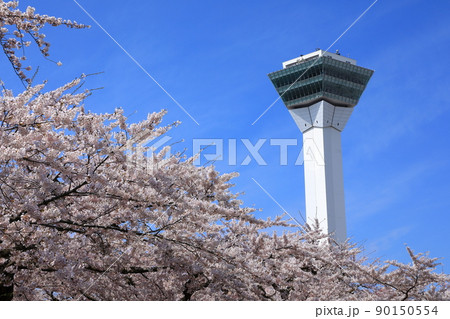 五稜郭タワーと五稜郭公園の桜 90150554