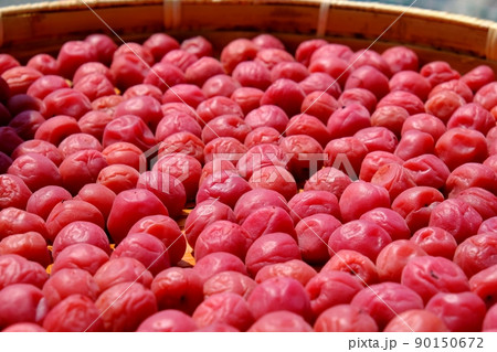 梅の土用干し 梅の土用干し 90150672