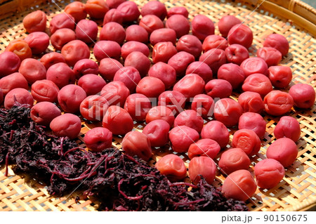 梅の土用干し 90150675