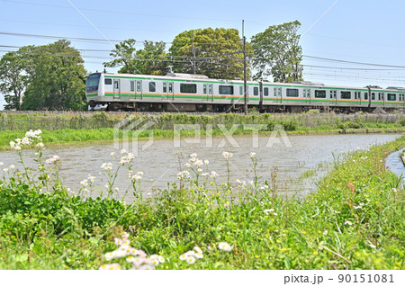 鉄道 JR東日本:宇都宮線 E233系 E-57F(横コツ) 鉄道 JR東日本:宇都宮線 E233系 E-57F(横コツ) 90151081