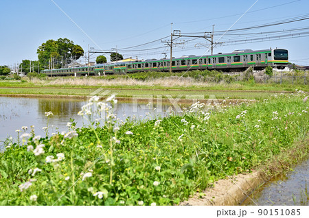 鉄道　JR東日本：宇都宮線　E231系　 90151085