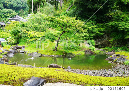 円覚寺庭園 円覚寺庭園 90151605