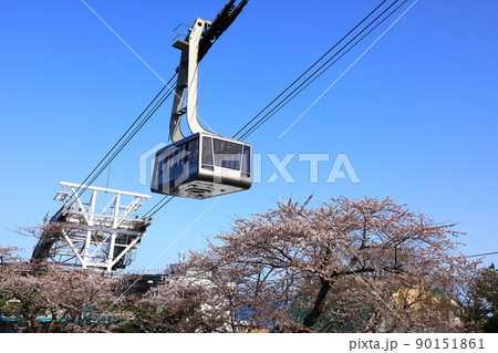 元町配水場 函館山ロープウェイと桜 元町配水場 函館山ロープウェイと桜 90151861