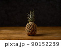 たたずむパイナップル 90152239