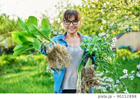 Beautiful middle aged woman with rooted plants looking at camera Beautiful middle aged woman with rooted plants looking at camera 90152898