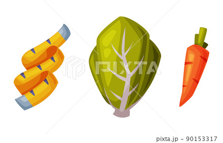 Measuring tape and fresh organic vegetables. Healthy diet concept vector illustration 90153317