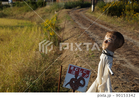 夕陽を浴びるマネキンとまむしの看板 90153342
