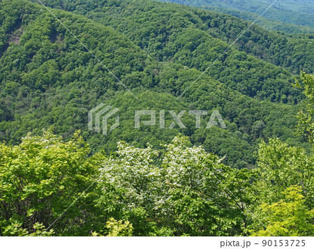 小樽　毛無山展望所から 90153725